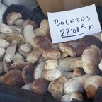 Receta de Croquetas de boletus y aroma de trufa negra